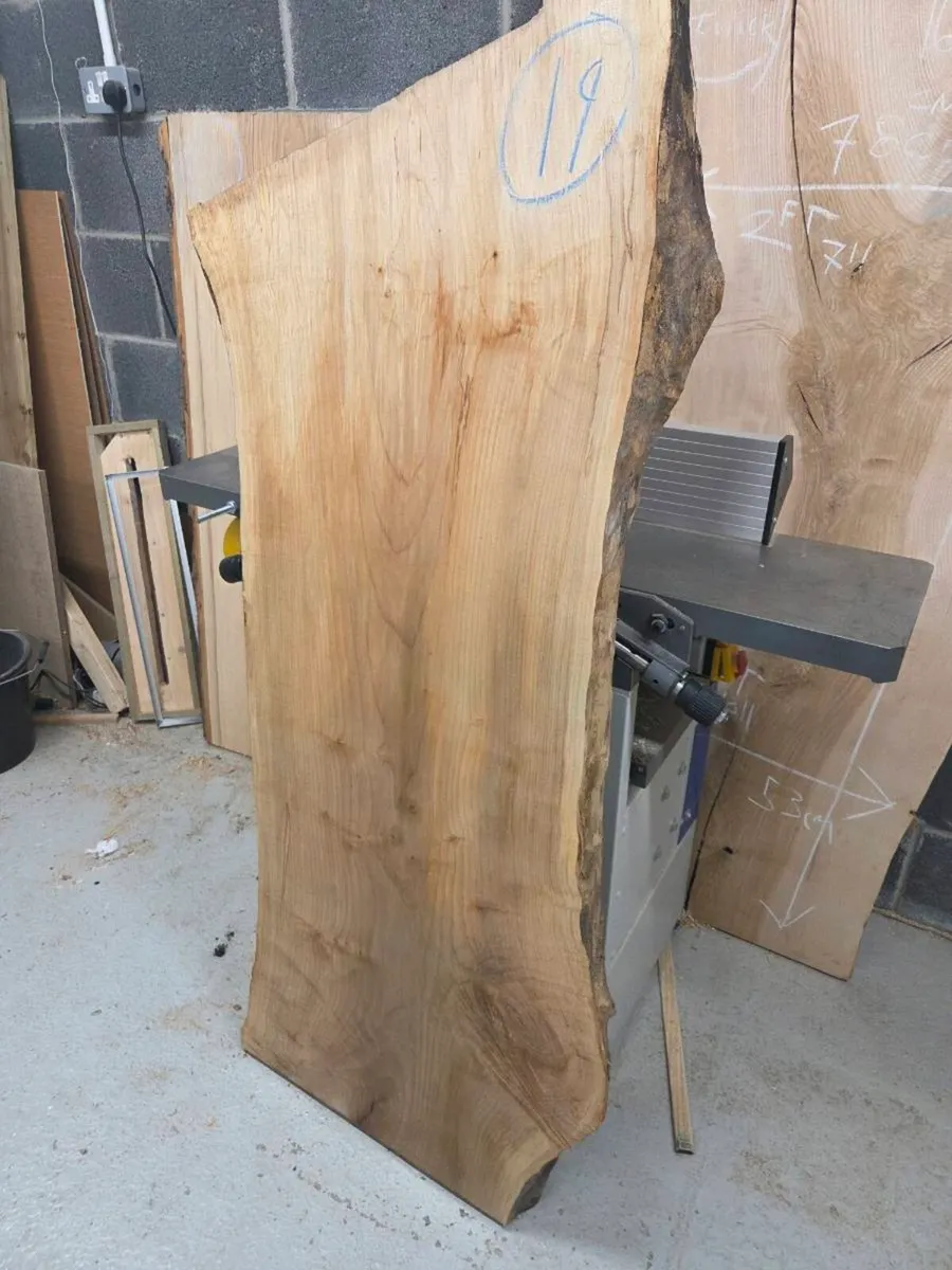 Live Edge Sycamore Slab - Kiln Dried - Image 3