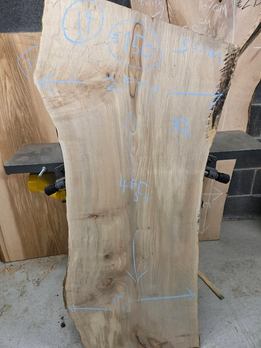 Live Edge Sycamore Slab - Kiln Dried - Image 4