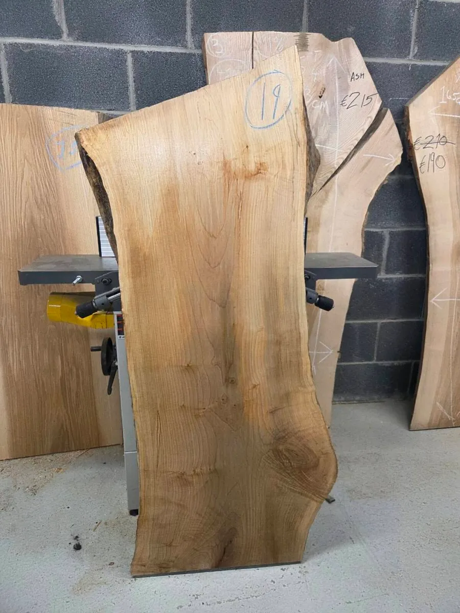 Live Edge Sycamore Slab - Kiln Dried - Image 1
