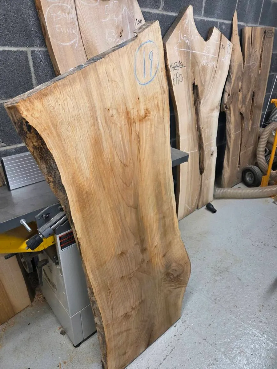 Live Edge Sycamore Slab - Kiln Dried - Image 2