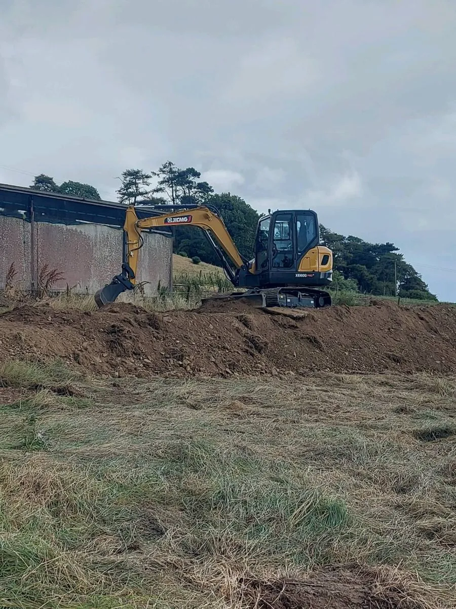 Hedge cutting/mulching land clearance - Image 3