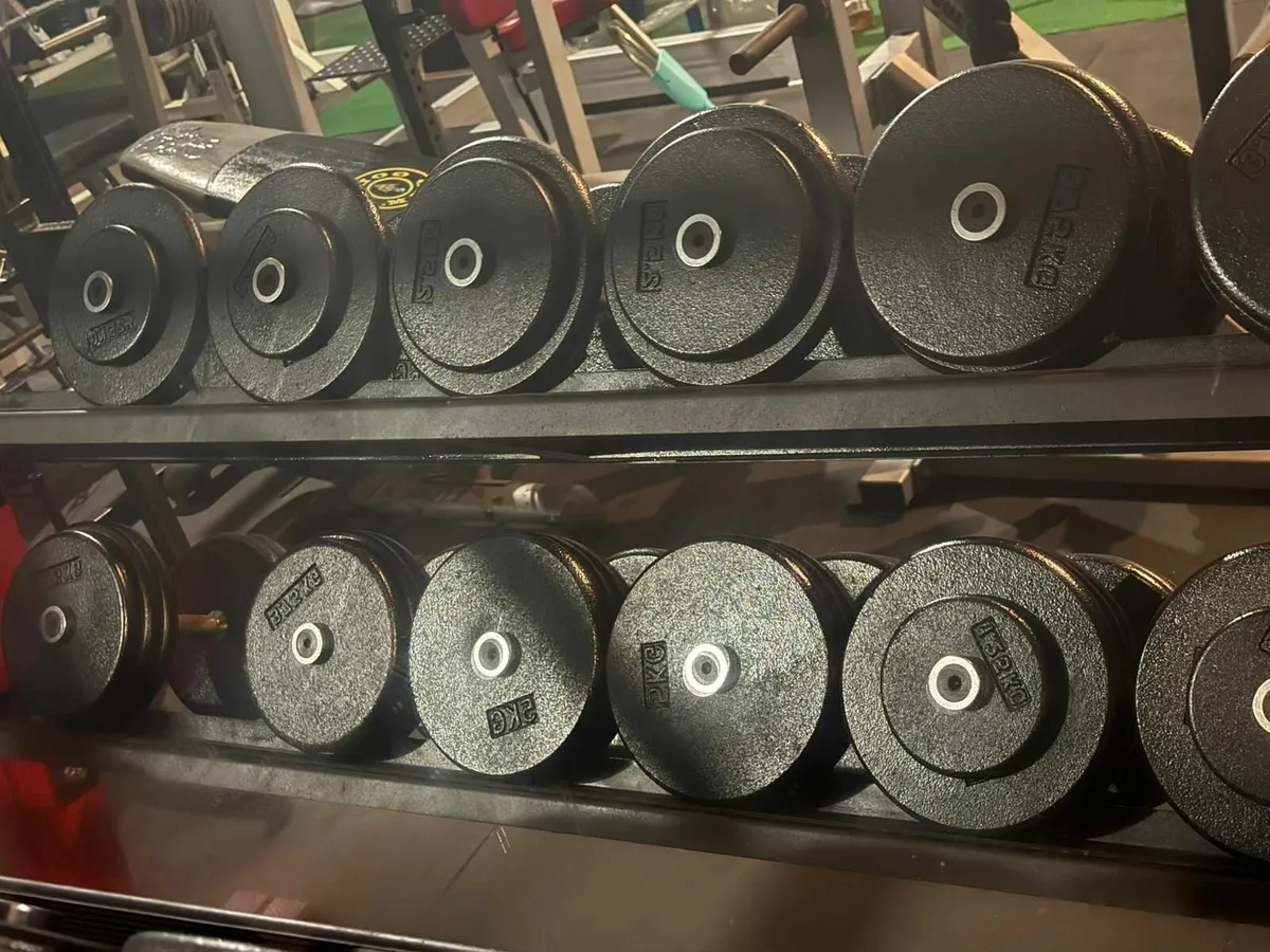 Commercial Dumbbell Set Pairs 2.5–37.5kg & 2 Racks - Image 2