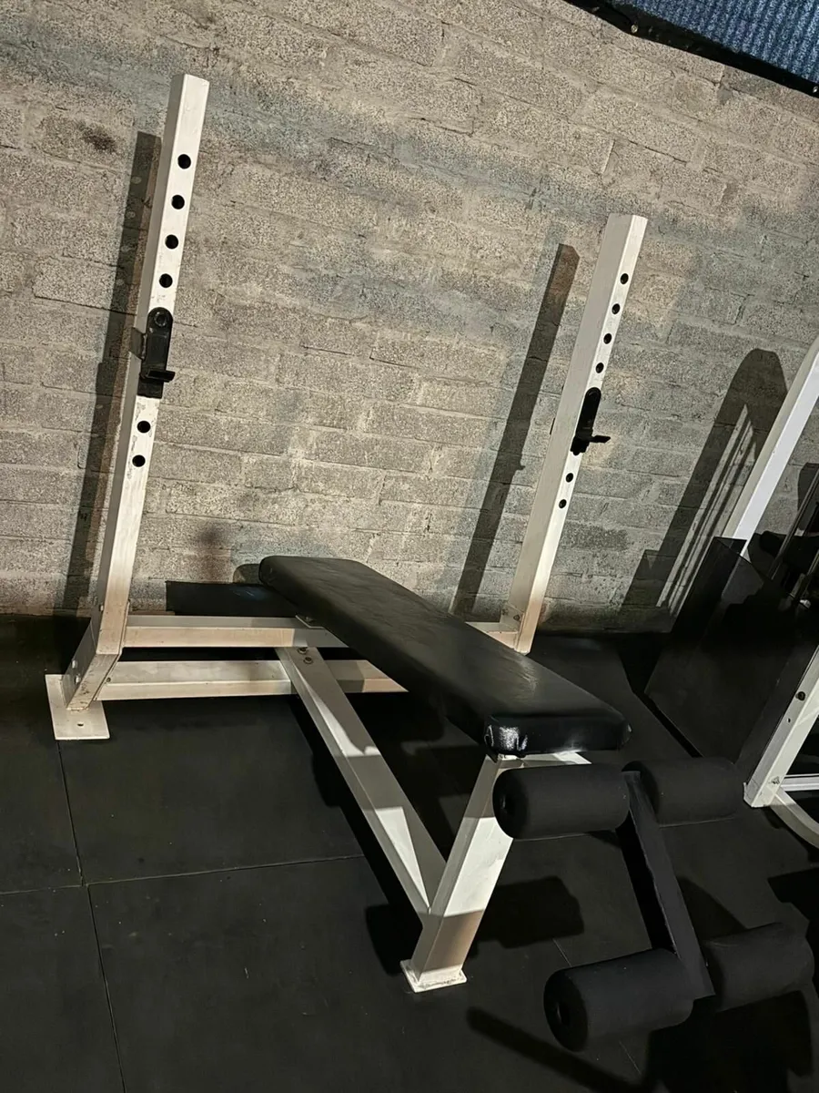 Decline Bench Press (Fixed Bench)  Commercial - Image 3