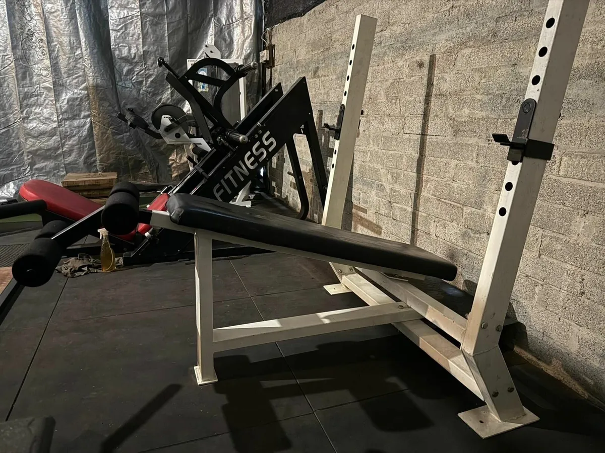 Decline Bench Press (Fixed Bench)  Commercial - Image 4