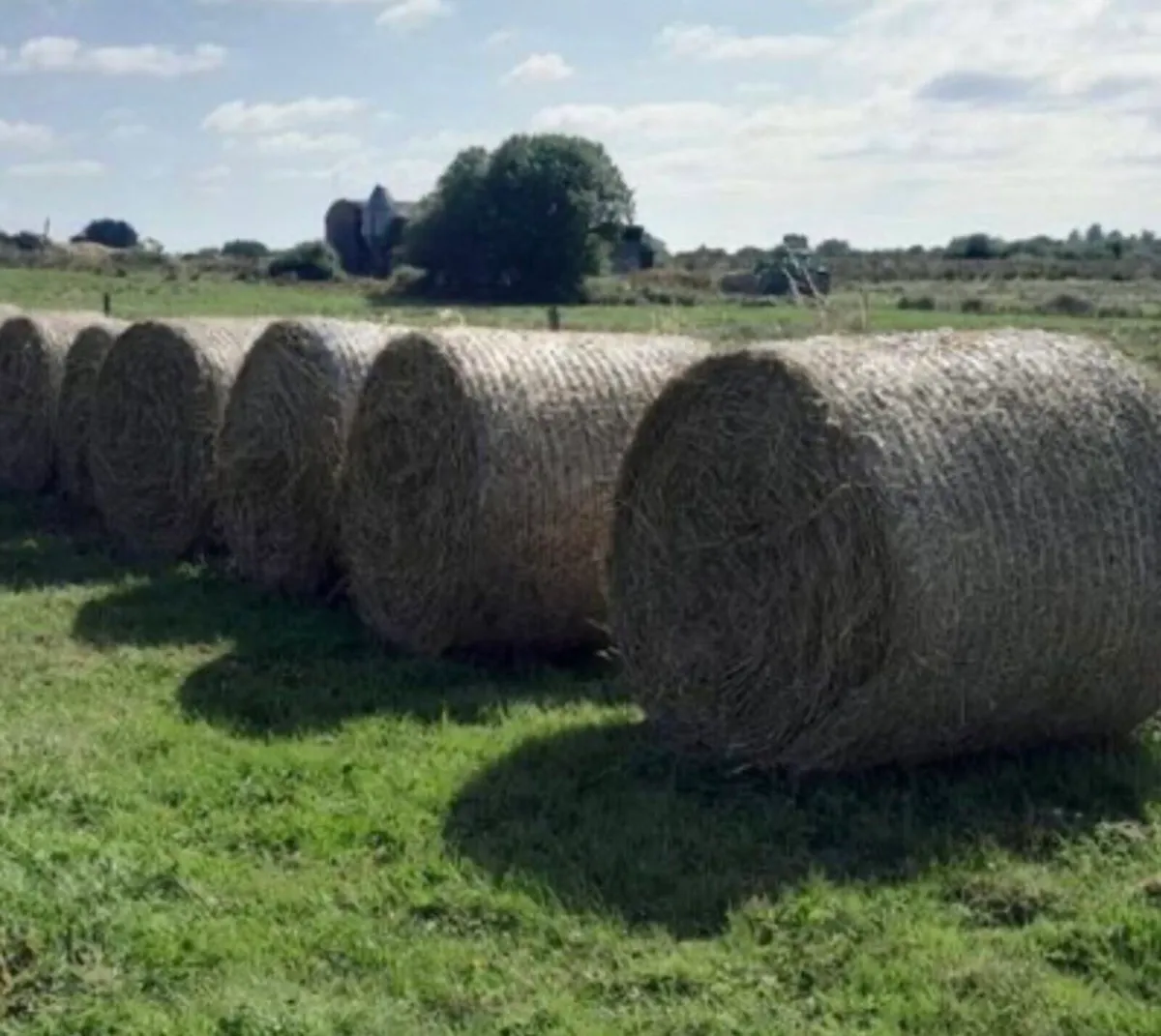 Bales of rushes for bedding