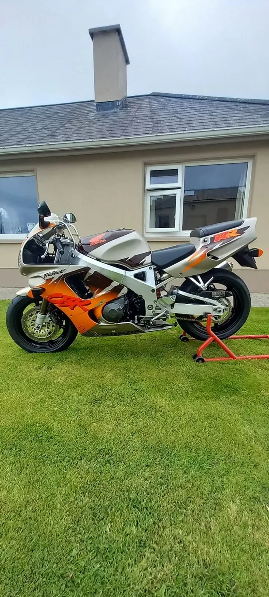 Urban tiger fireblade - Image 3