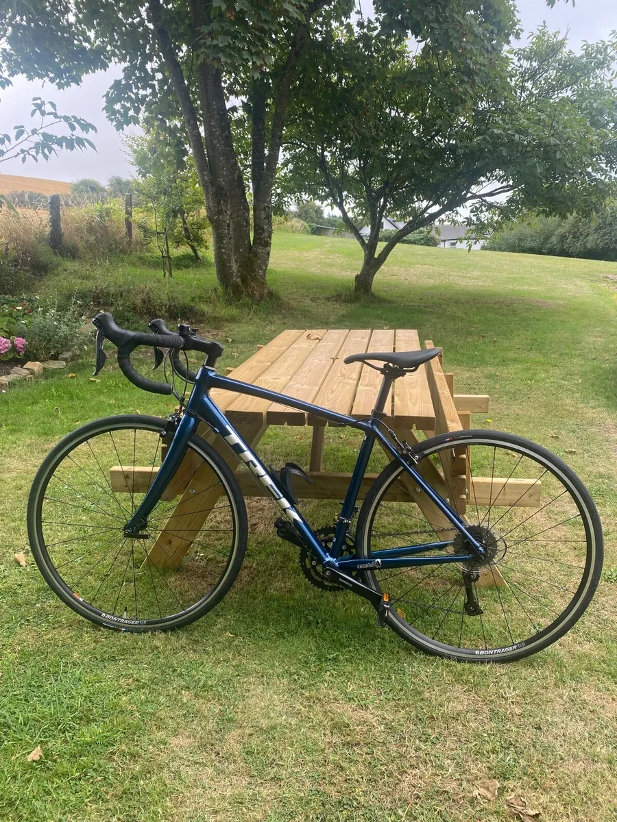Trek Domane AL 2 – 52cm – Excellent Condition - Image 1