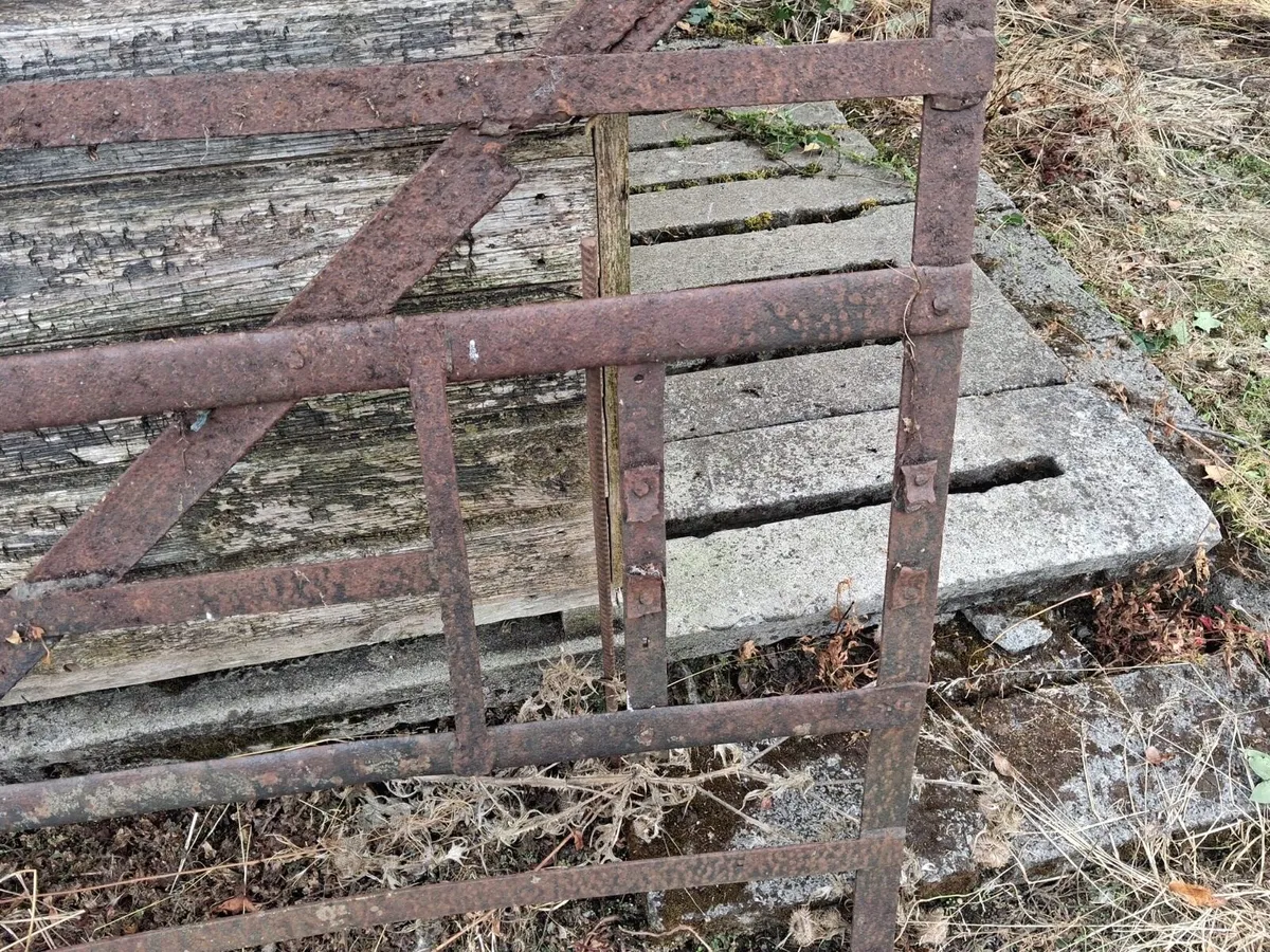 Old Gate - Image 4