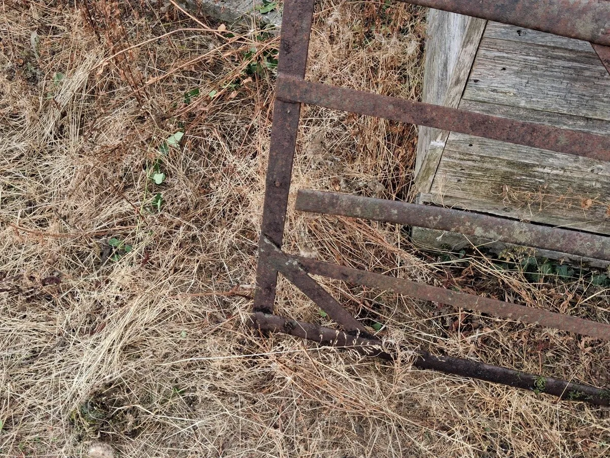 Old Gate - Image 1