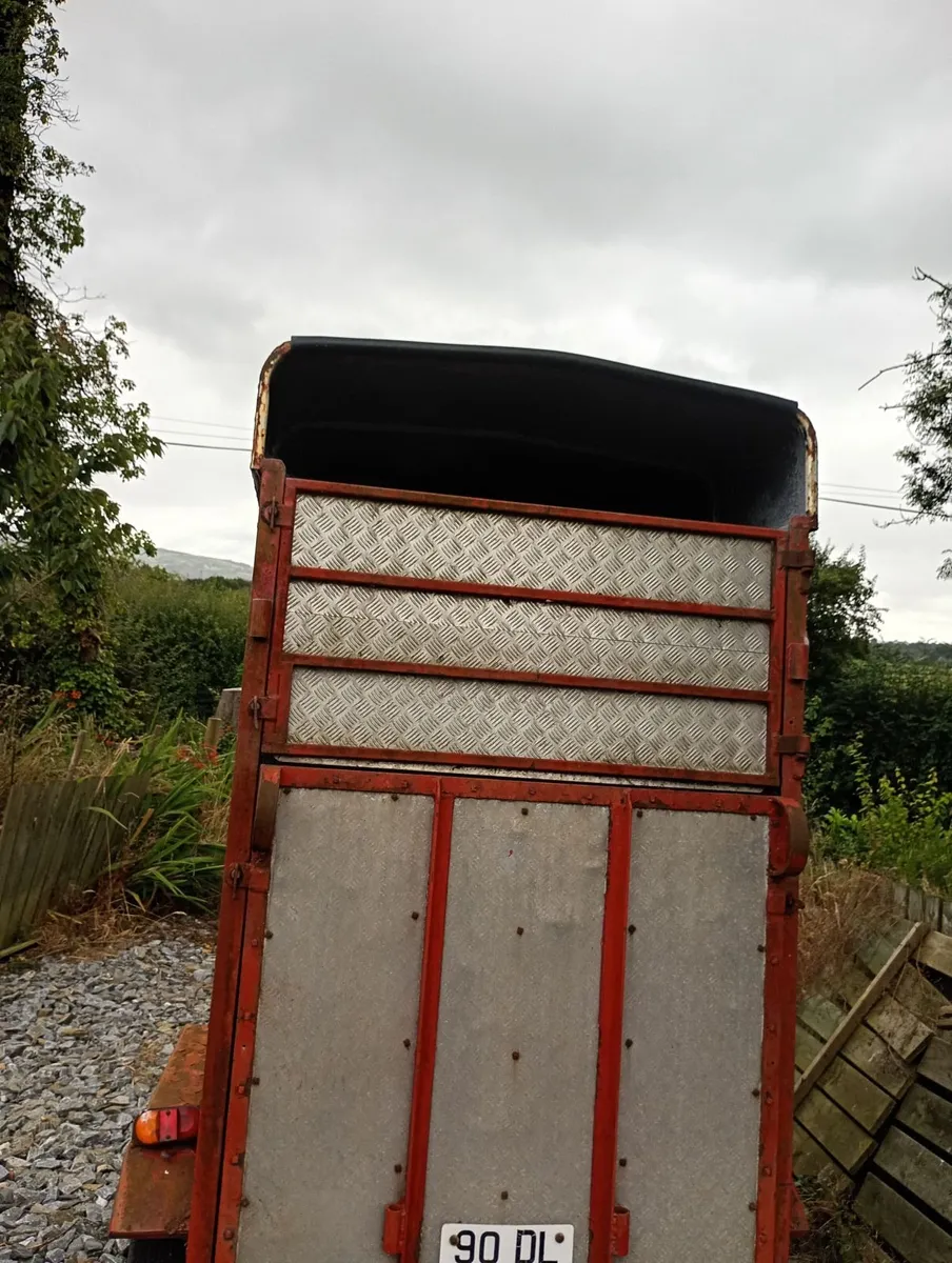 Horse Box trailer - Image 4