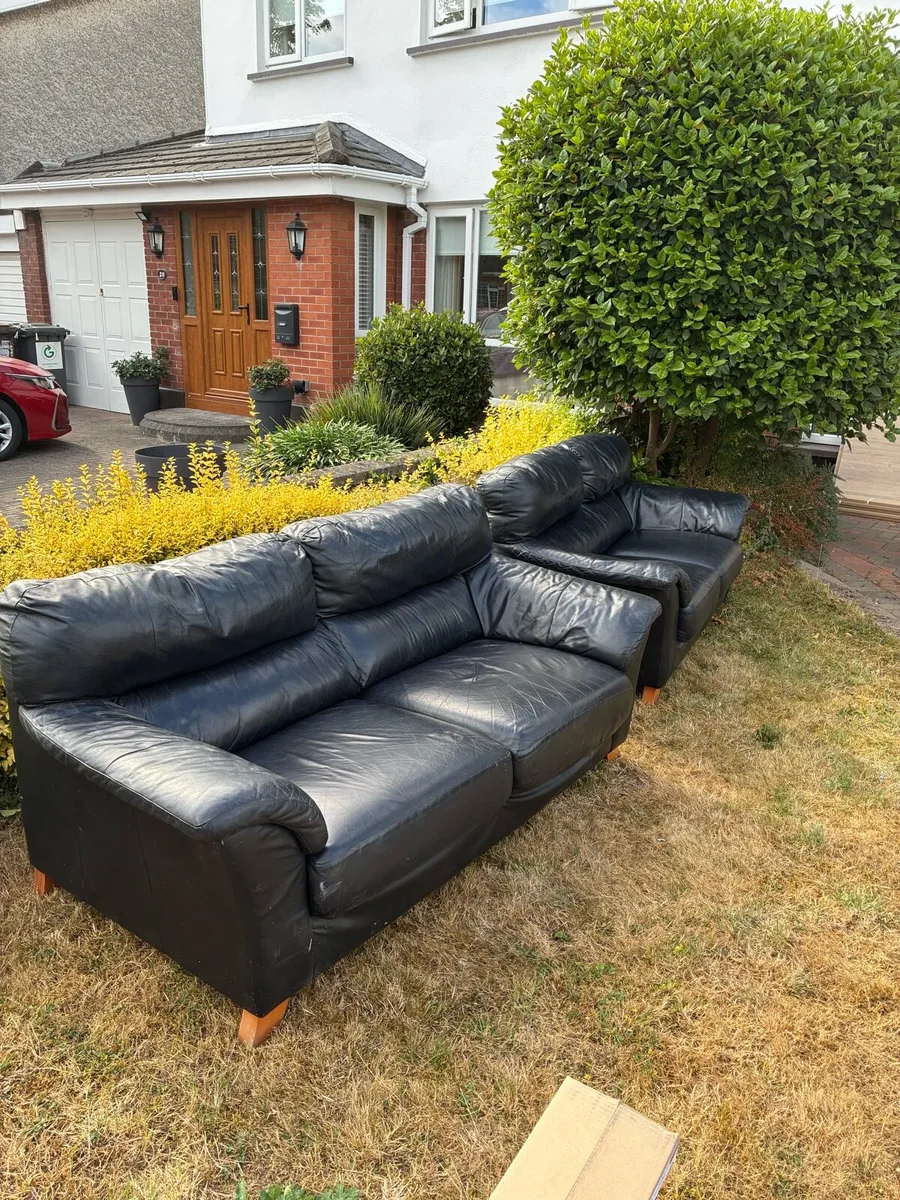 Sofas - Image 3