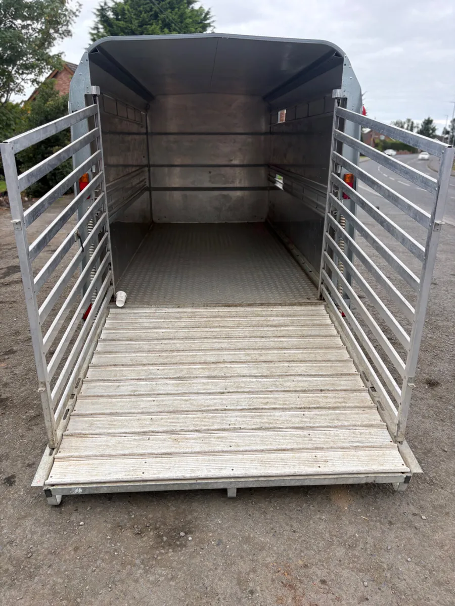 2024 ifor Williams 12ft livestock trailer - Image 3