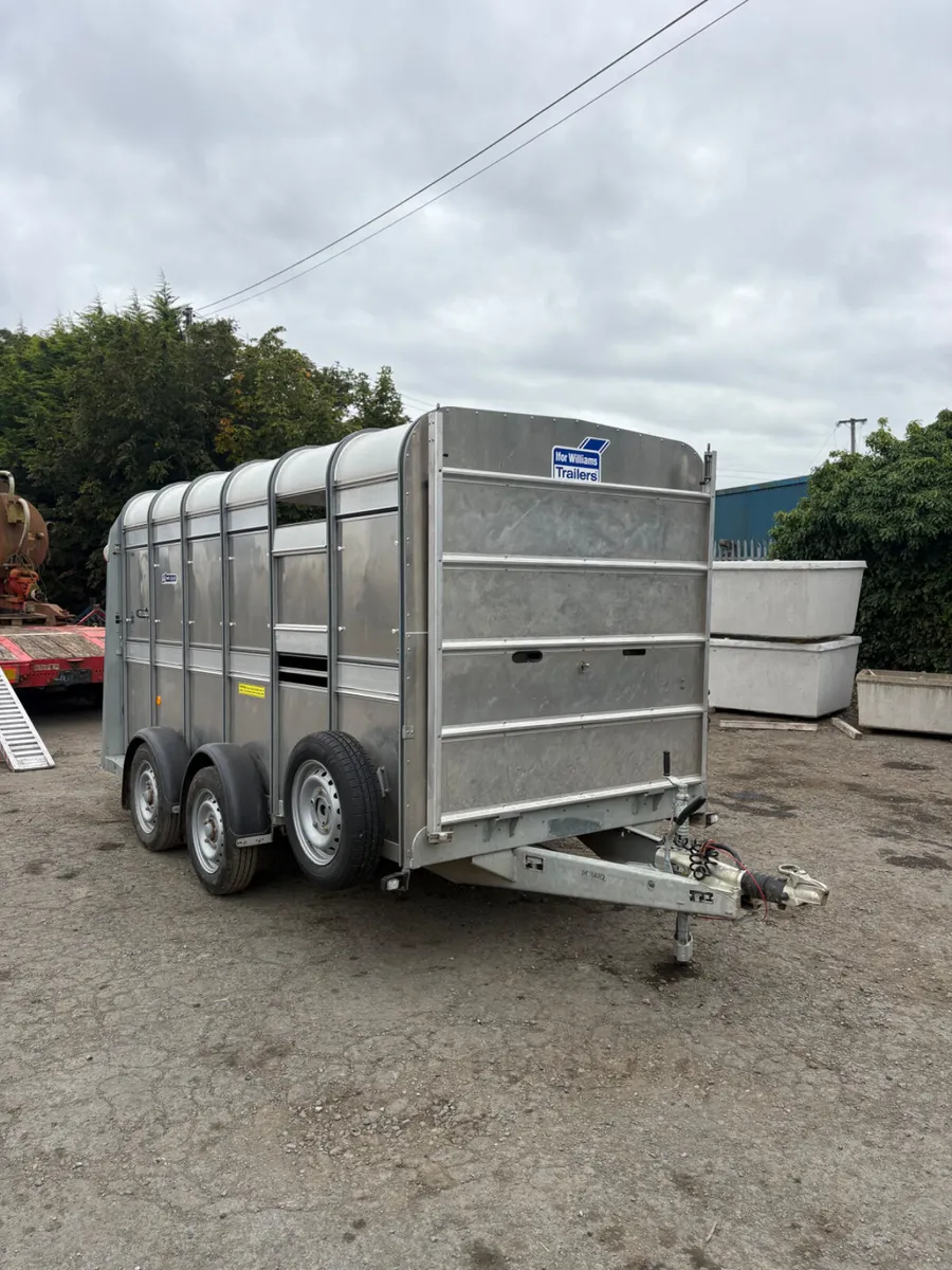 2024 ifor Williams 12ft livestock trailer - Image 1