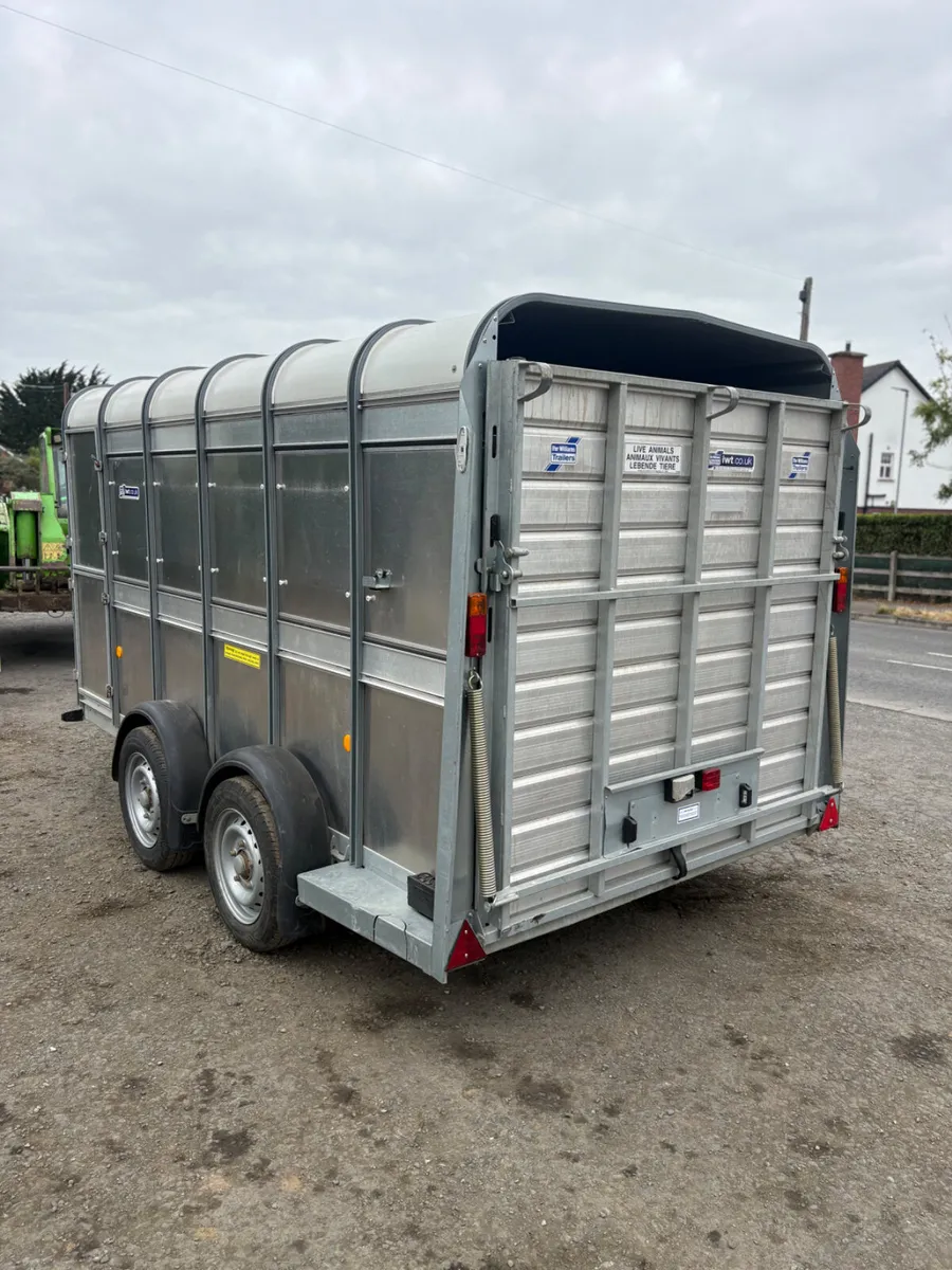 2024 ifor Williams 12ft livestock trailer - Image 2