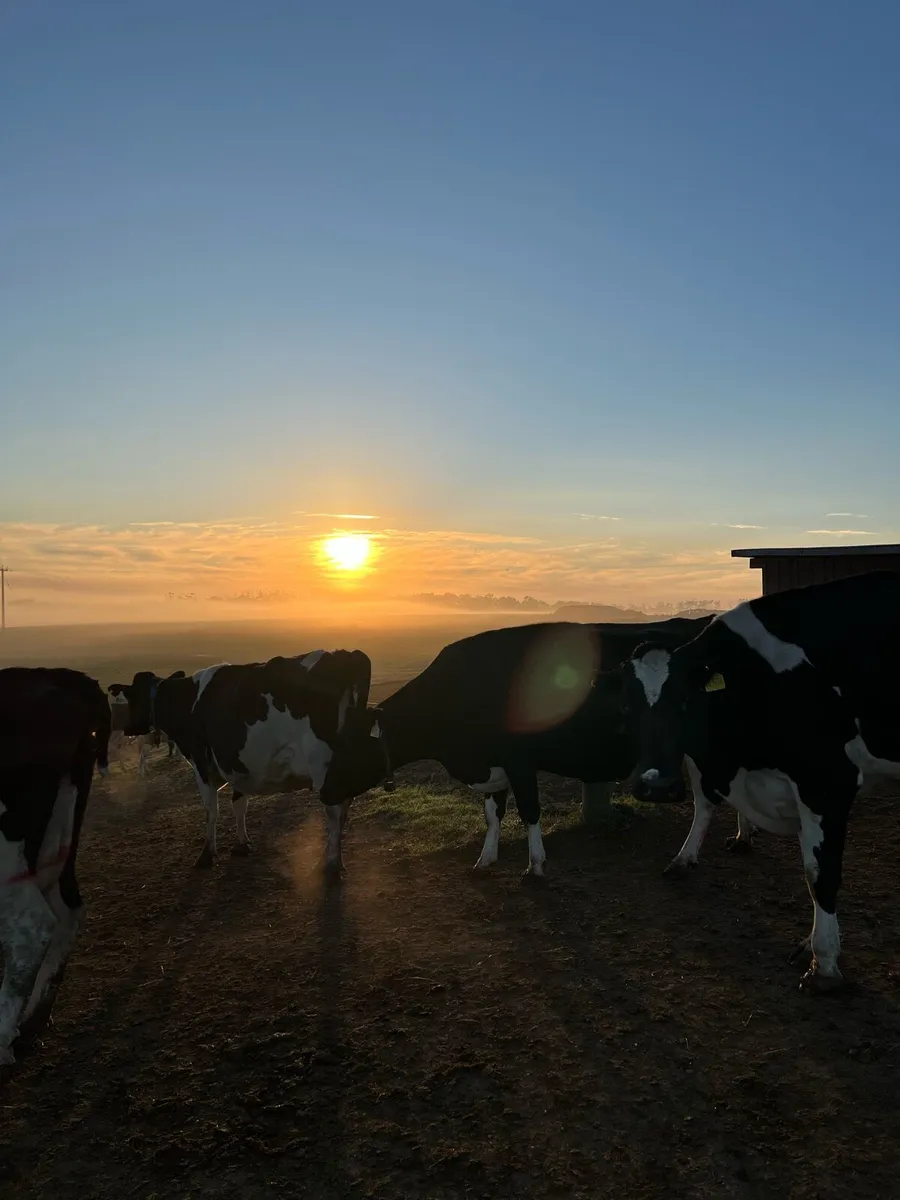 Relief farm milker