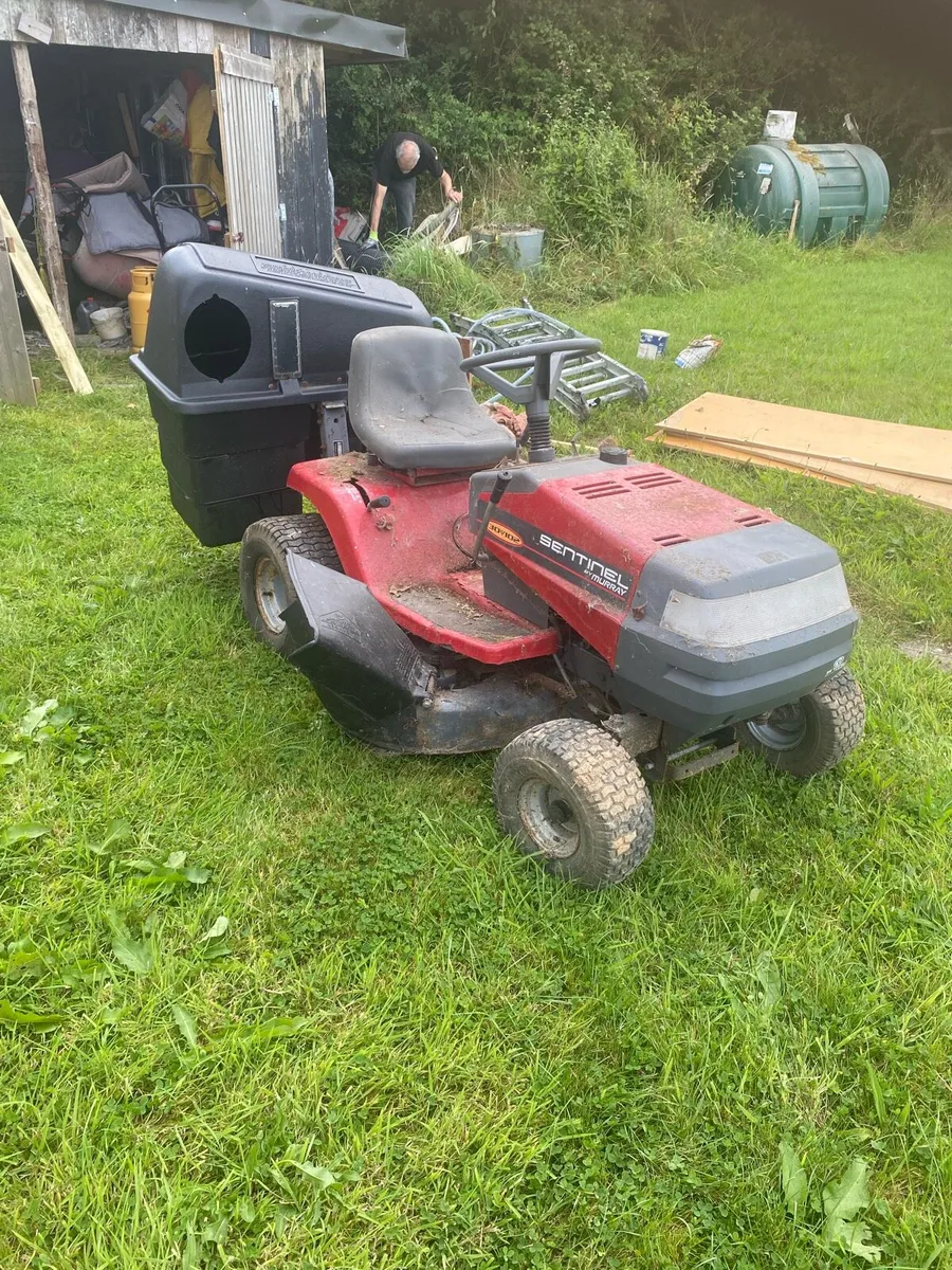 Ride on mower - Image 1