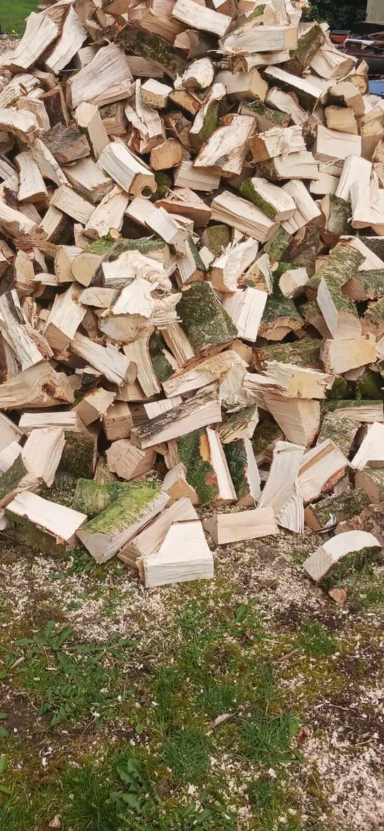 Firewood for sale & other - Image 1