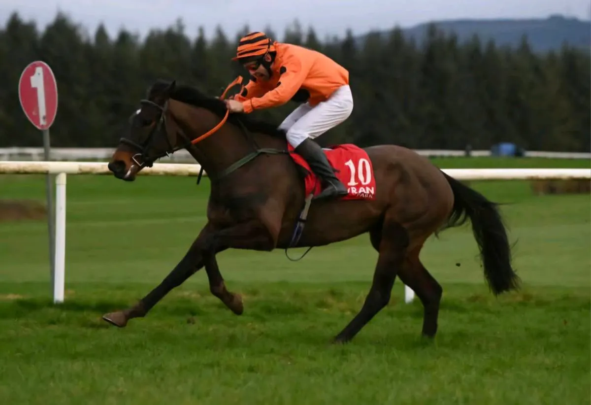Amateur jockey - Image 2