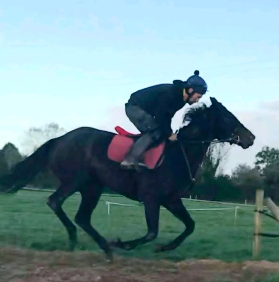 Amateur jockey - Image 3
