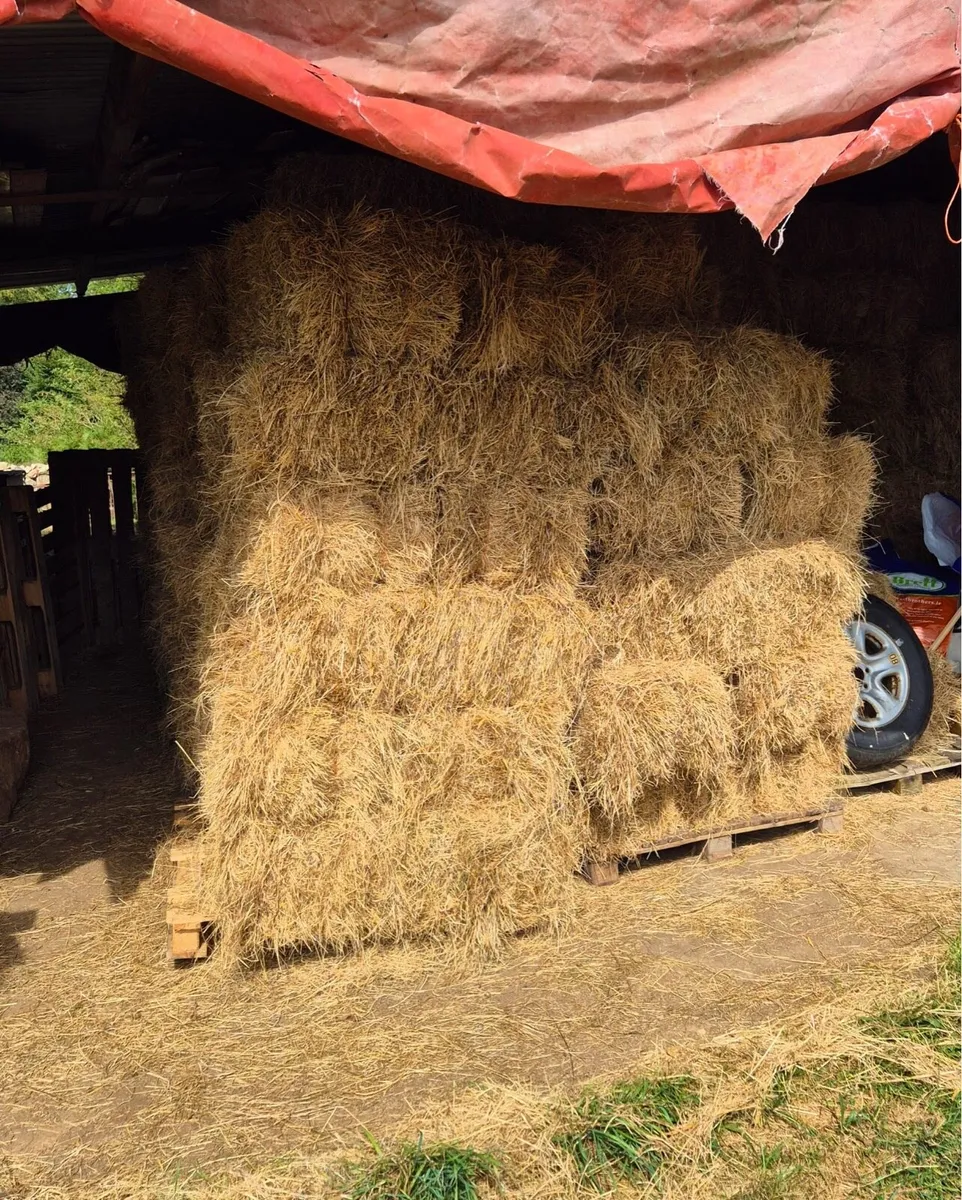 Nice square hay bales. - Image 3