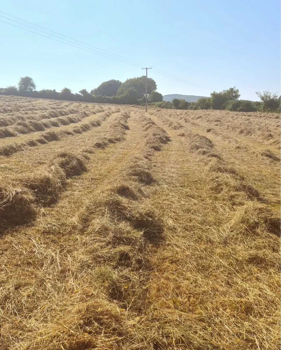 Nice square hay bales. - Image 4