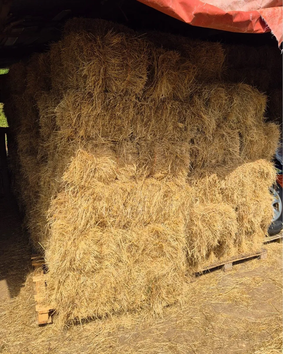 Nice square hay bales. - Image 2