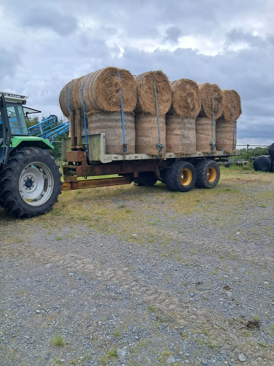 Hay - Image 1