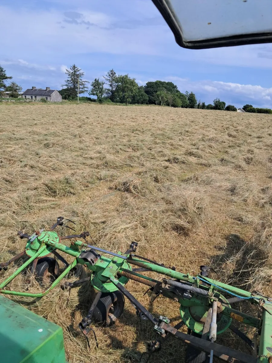 Hay - Image 2