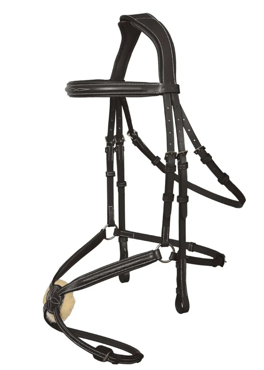 Grackle Mexican Leather Bridle - Brand New