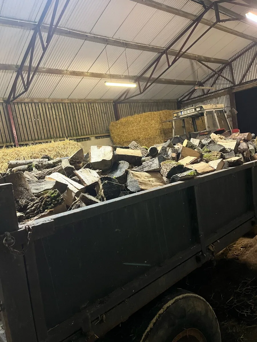 Trailer load of harwood logs