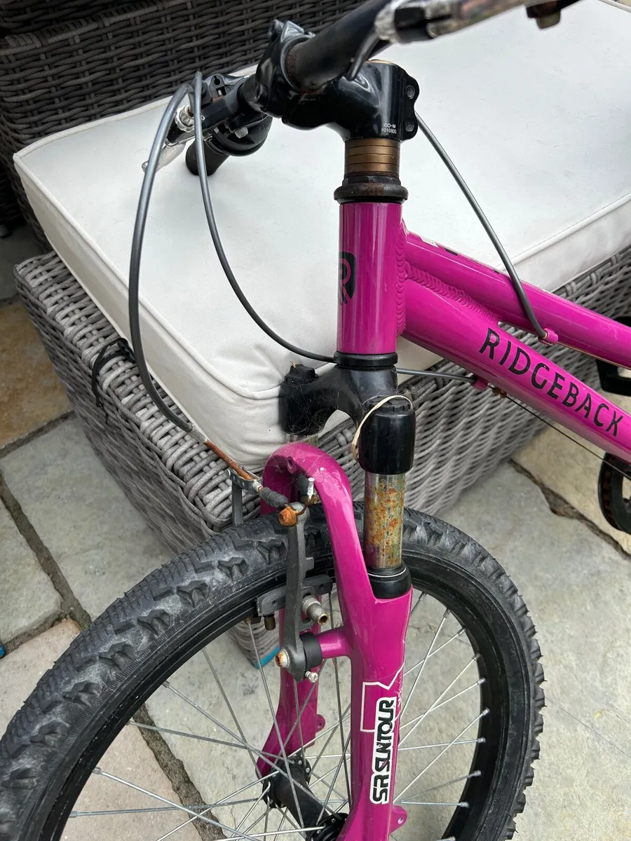 Girls age 7 Ridgeback pink bike (2 wheels) - Image 2