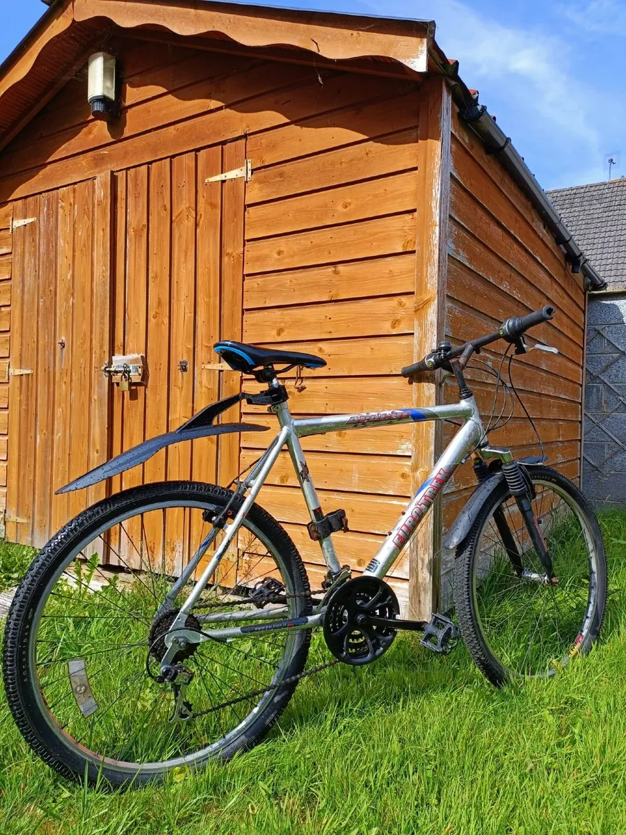 Apache Euro Trek Mountain Bike - Image 3