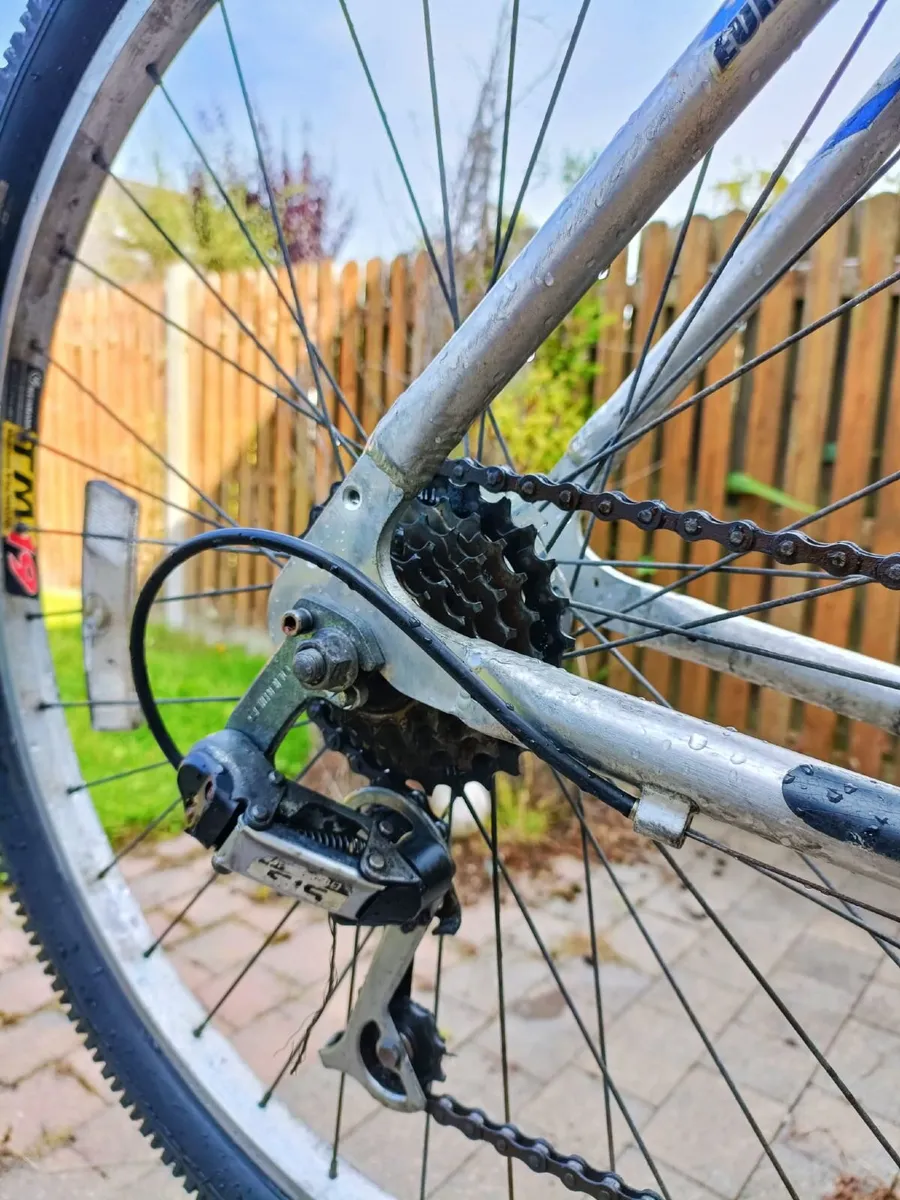 Apache Euro Trek Mountain Bike - Image 4