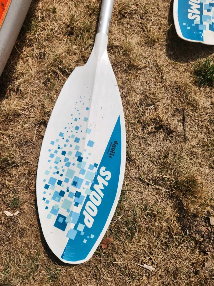 Kayak - Image 3