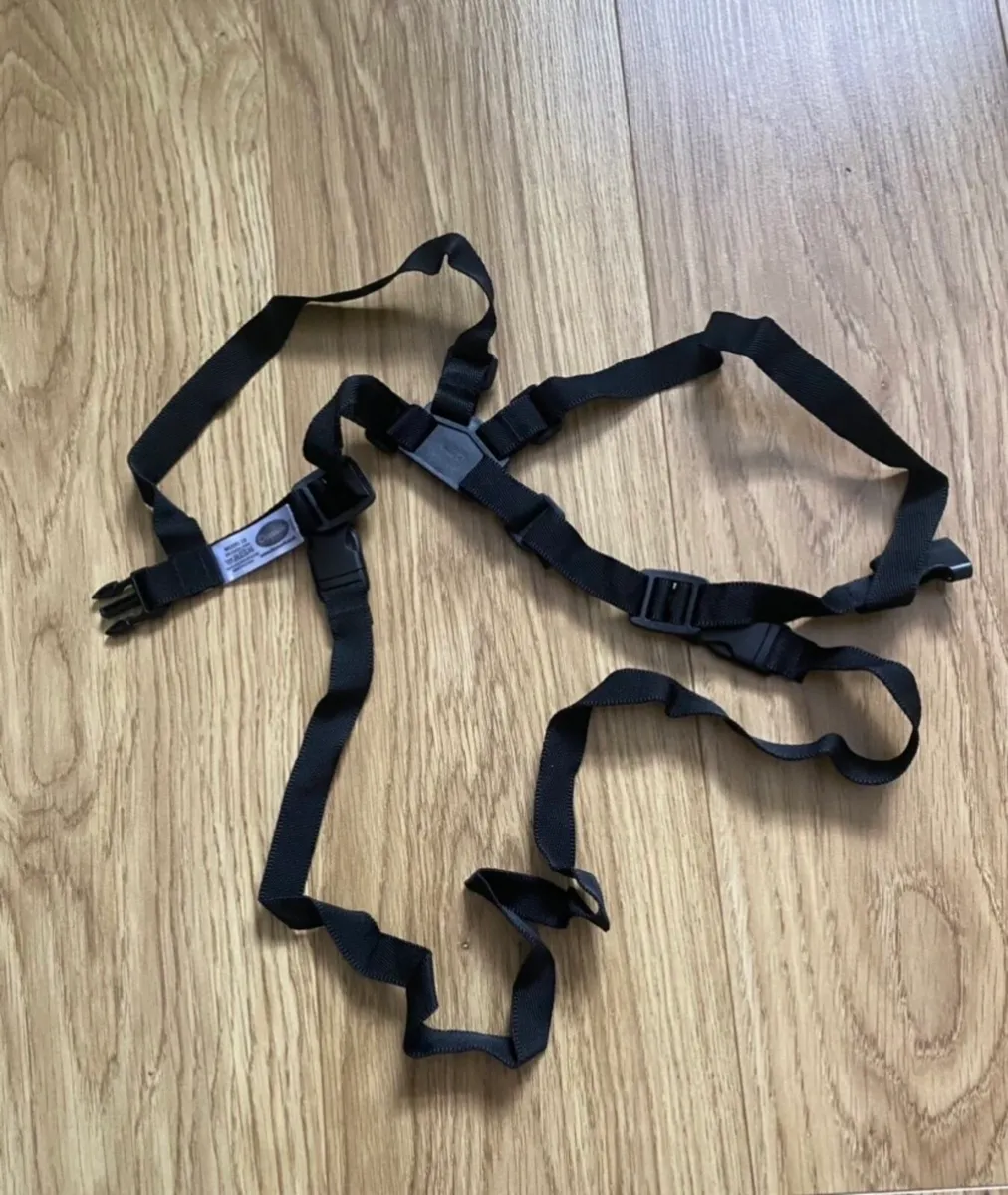 Walking Harness