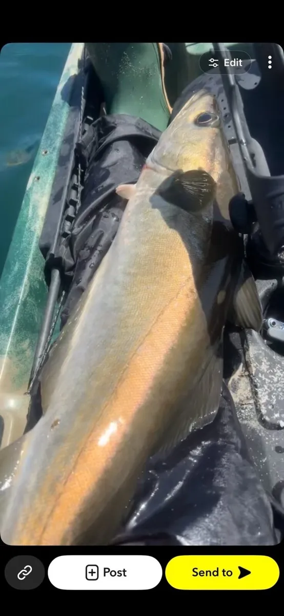 Fishing Kayak - Image 3