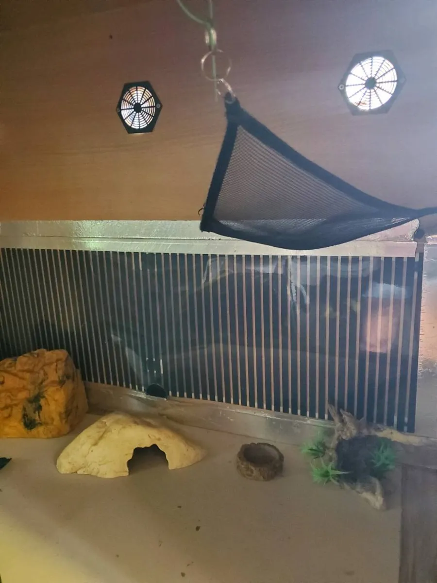 Vivarium - Image 2