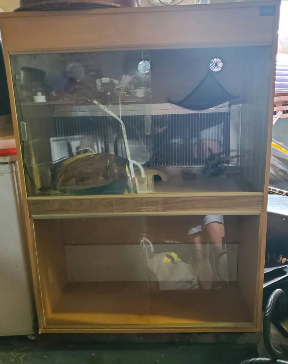 Vivarium - Image 4