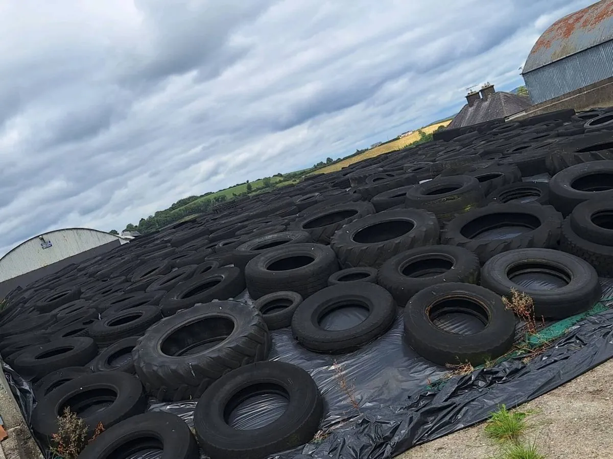 Pit of silage - Image 1