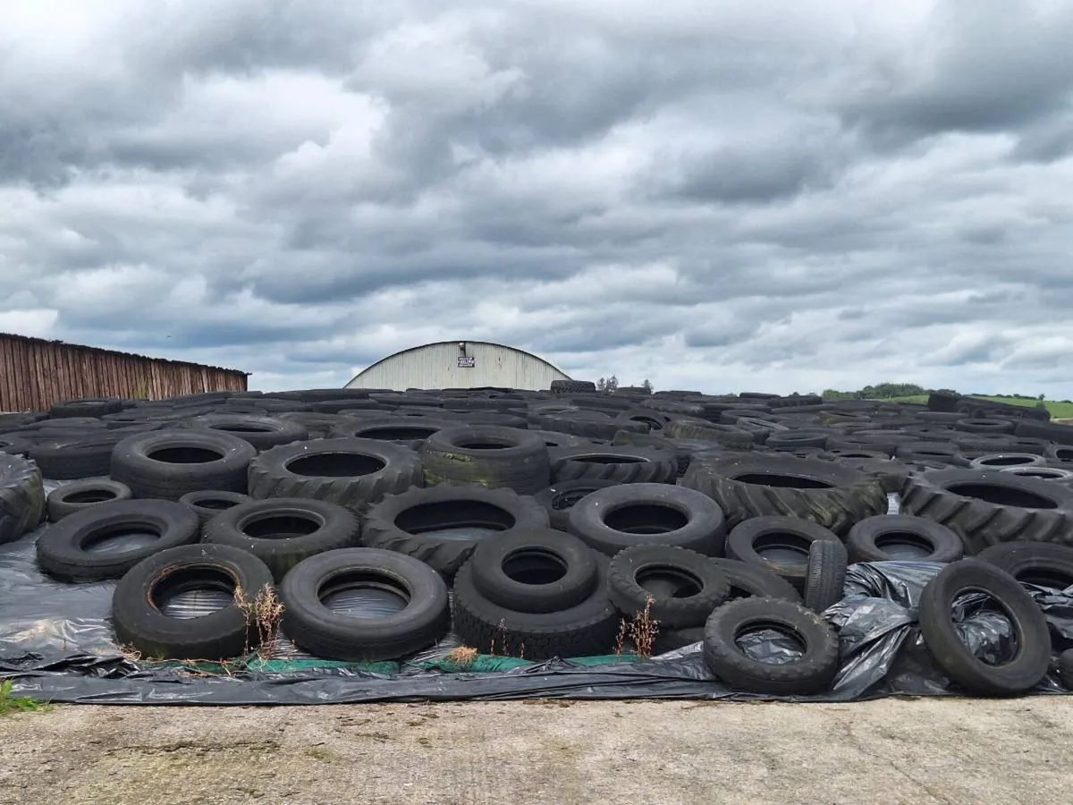 Pit of silage - Image 2
