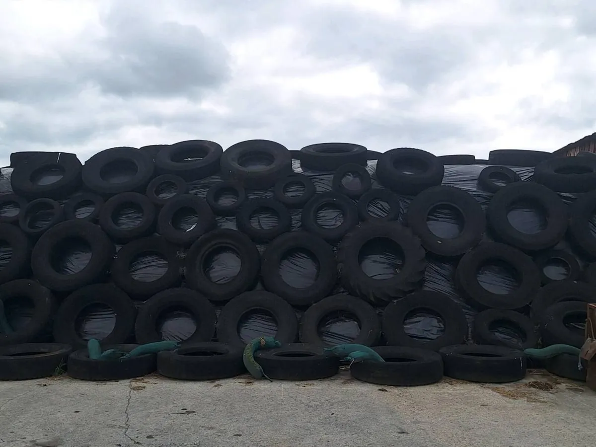 Pit of silage - Image 3