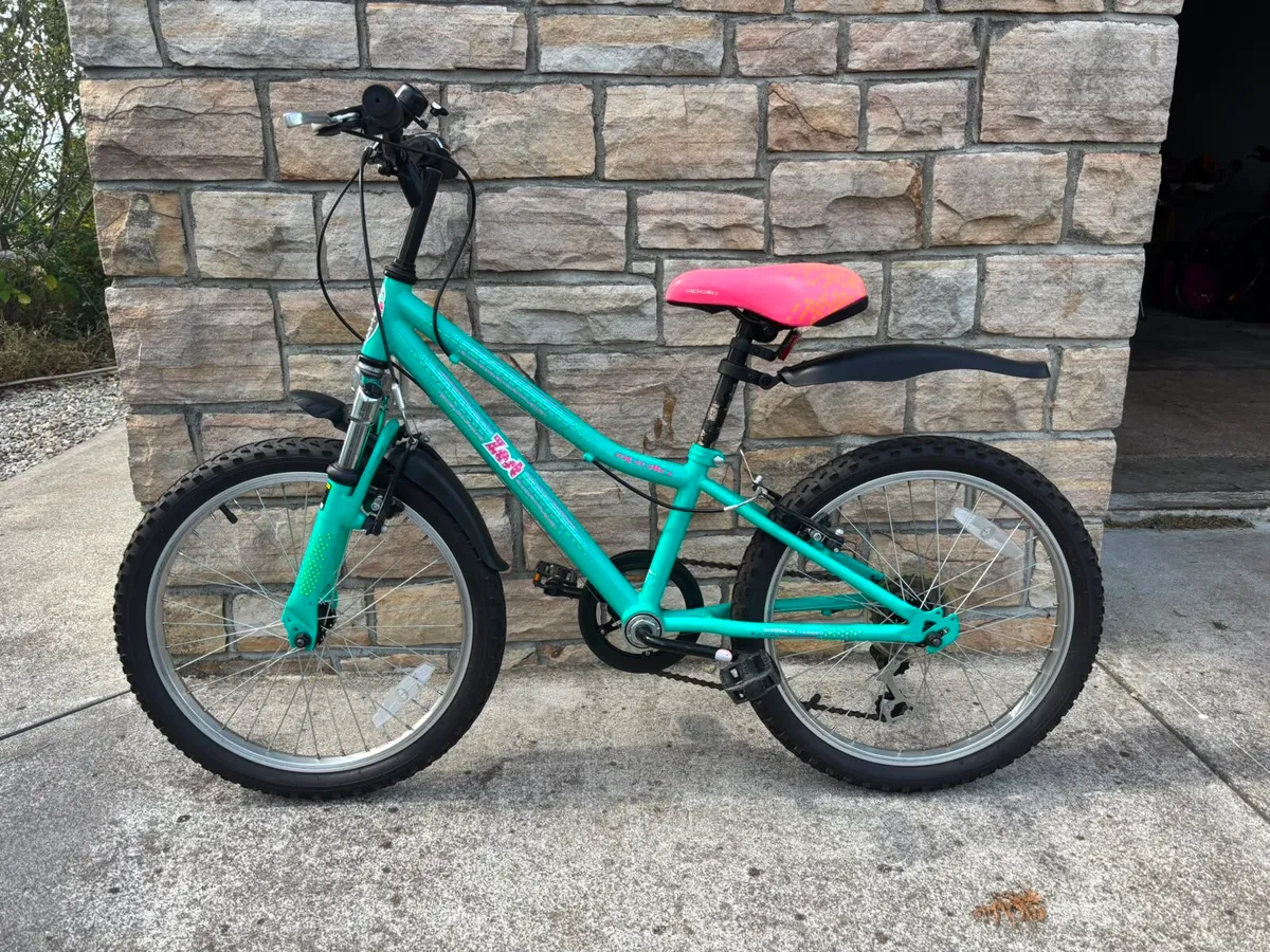 Girls Bike - Image 1