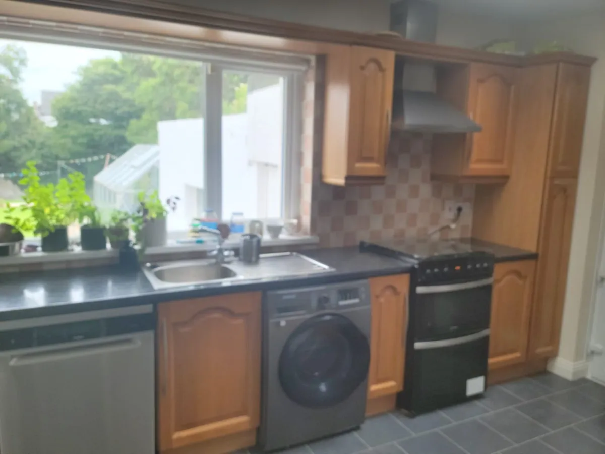 Kitchen Cabinets + Countertop - Image 4