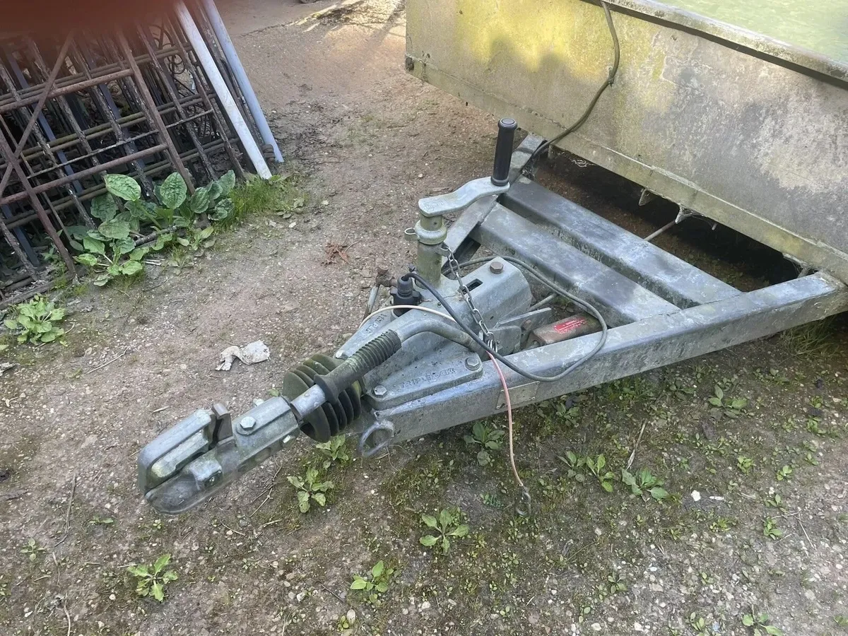 Plant Trailer 10ft x 6ft - Image 3