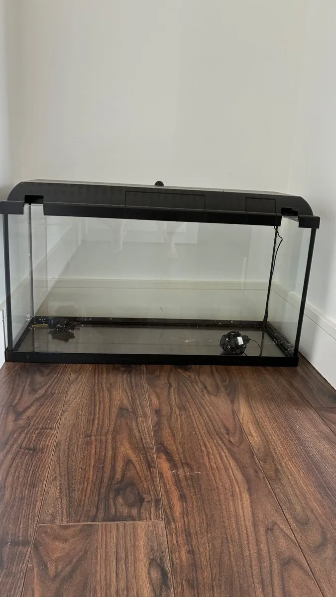 Fish Tank - Image 1