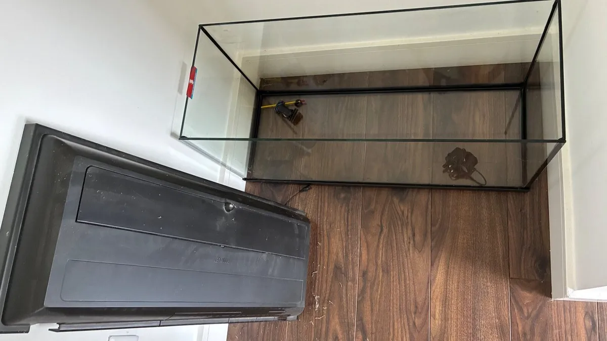 Fish Tank - Image 3