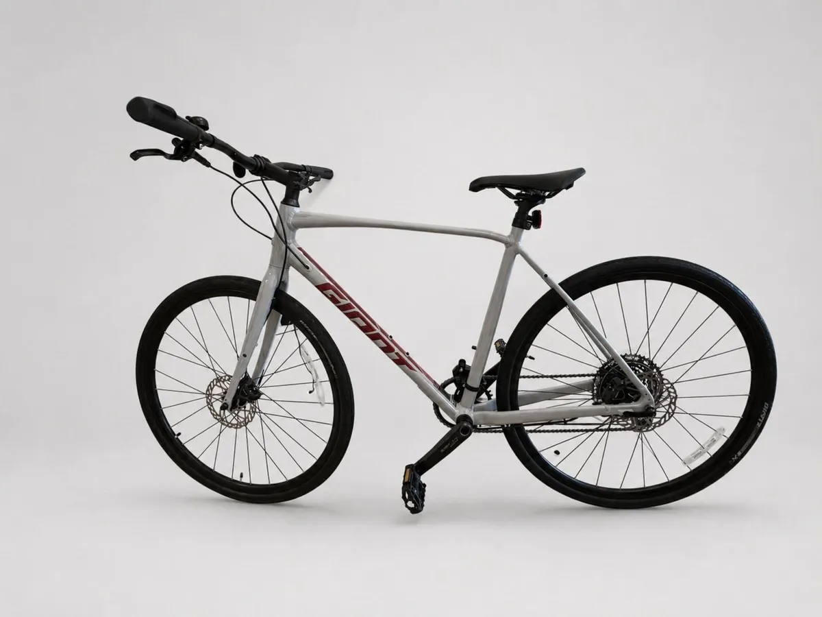 Giant bike - Image 1
