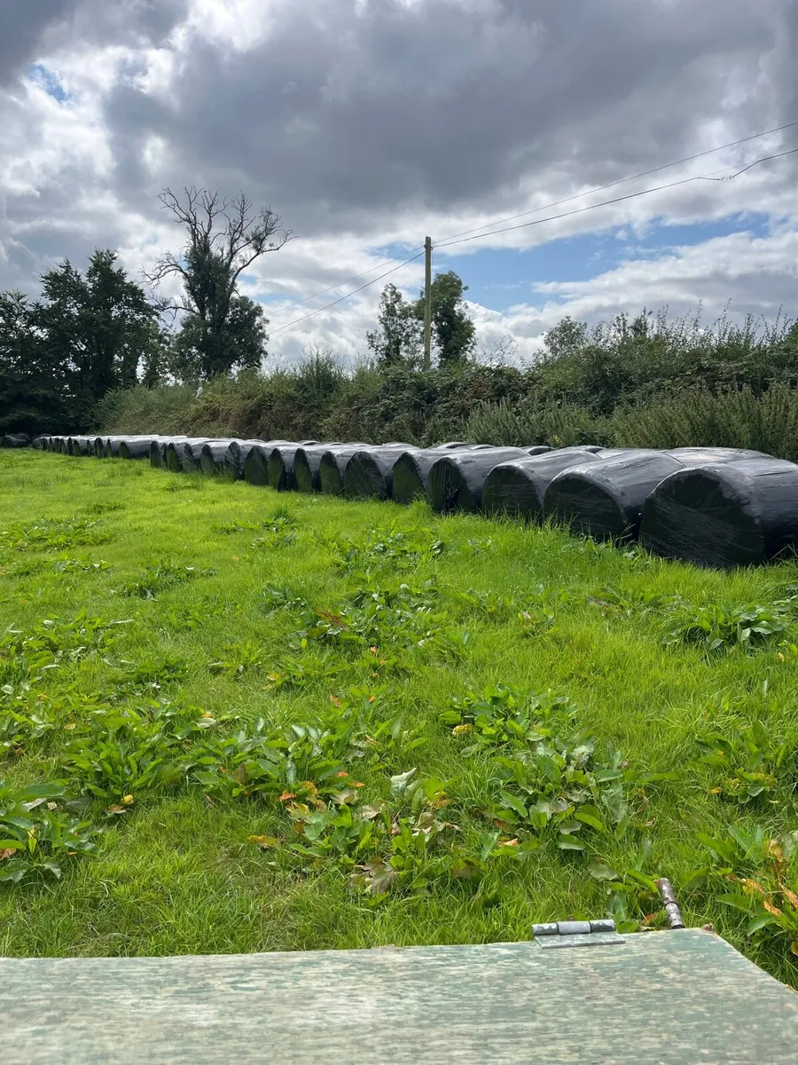 Organic silage