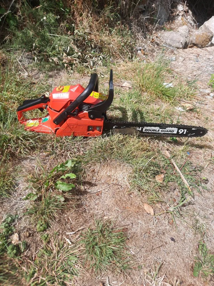 Chainsaw - Image 2