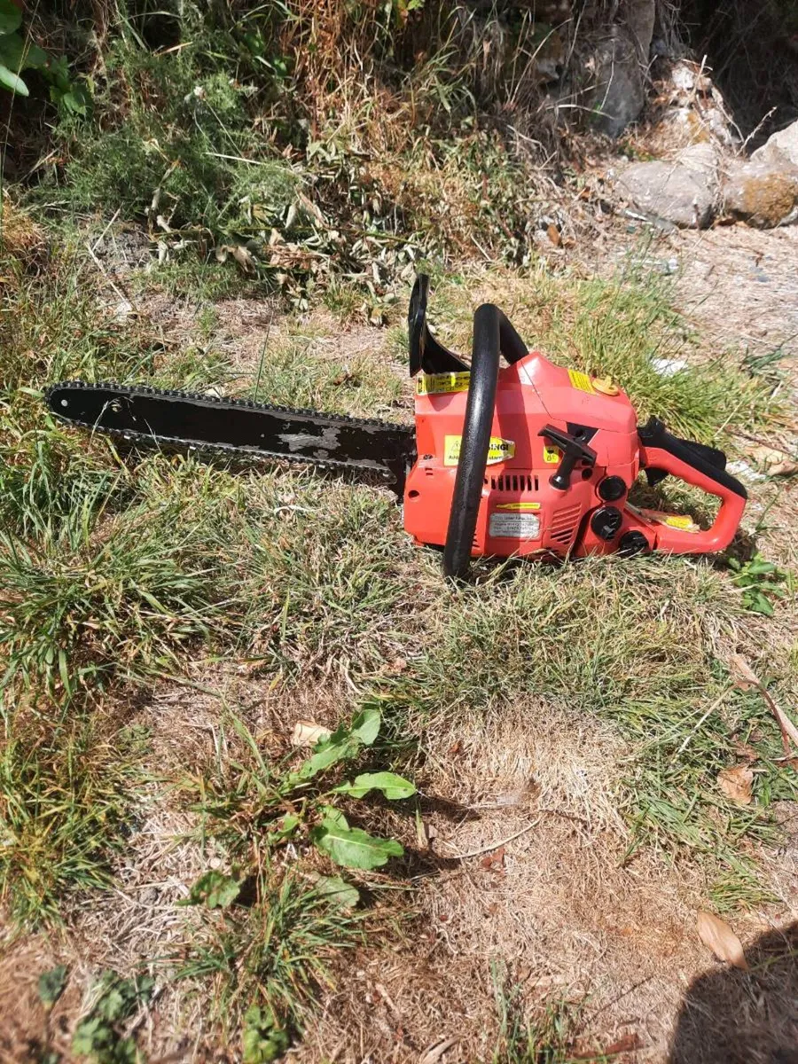 Chainsaw - Image 1